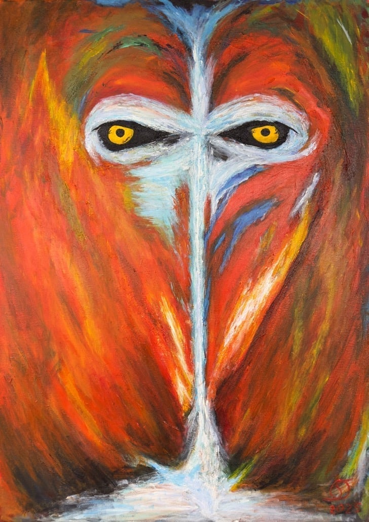 Observer